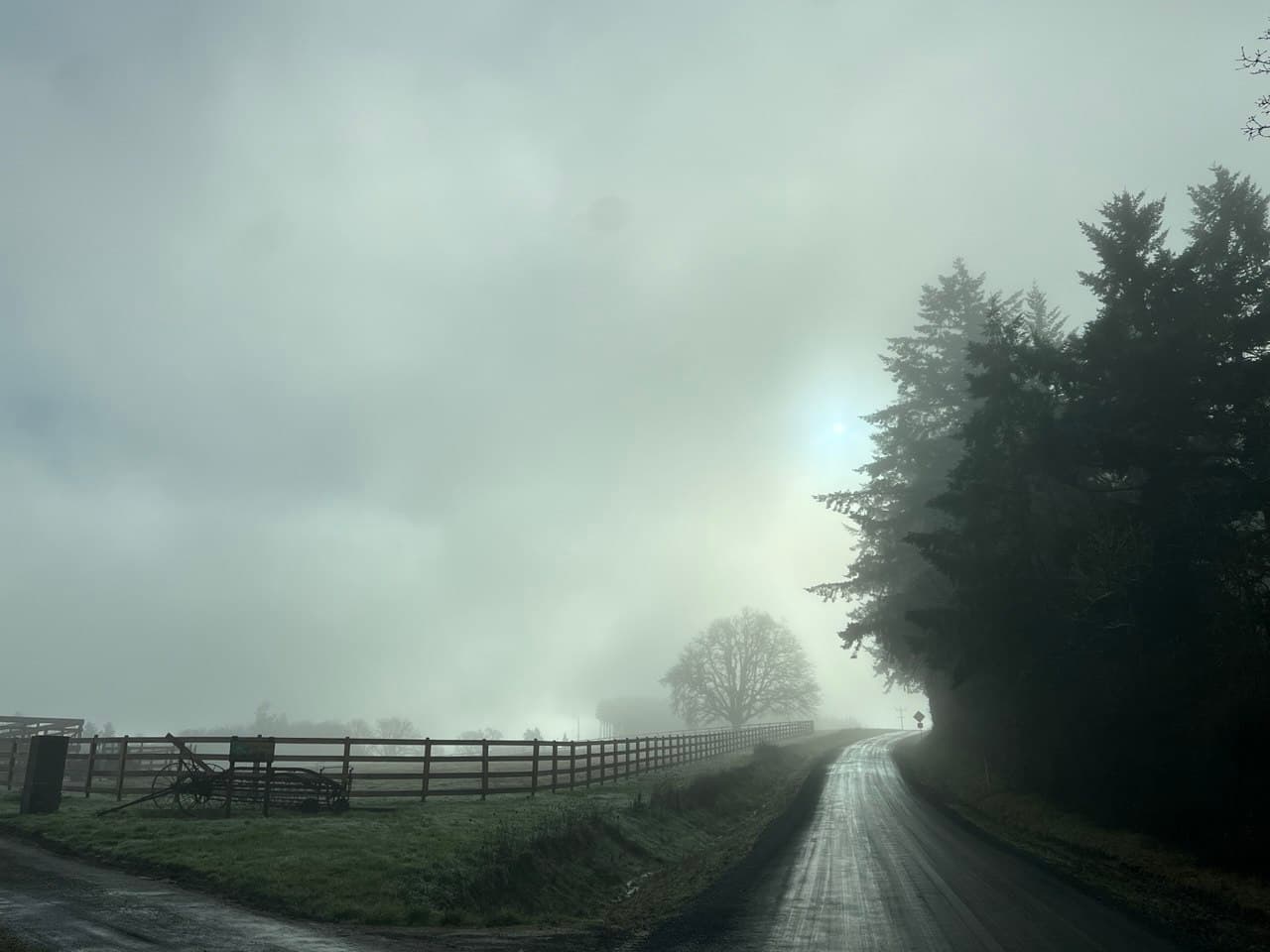 Oak Hill Farm fence line in morning fog